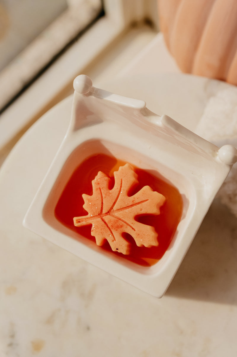 Autumn in Stars Hollow Gilmore Spiced Pumpkin Wax Melts