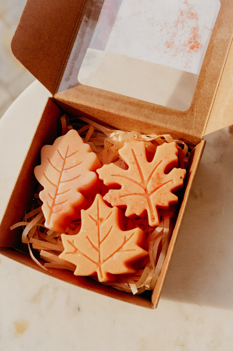 Autumn in Stars Hollow Gilmore Spiced Pumpkin Wax Melts