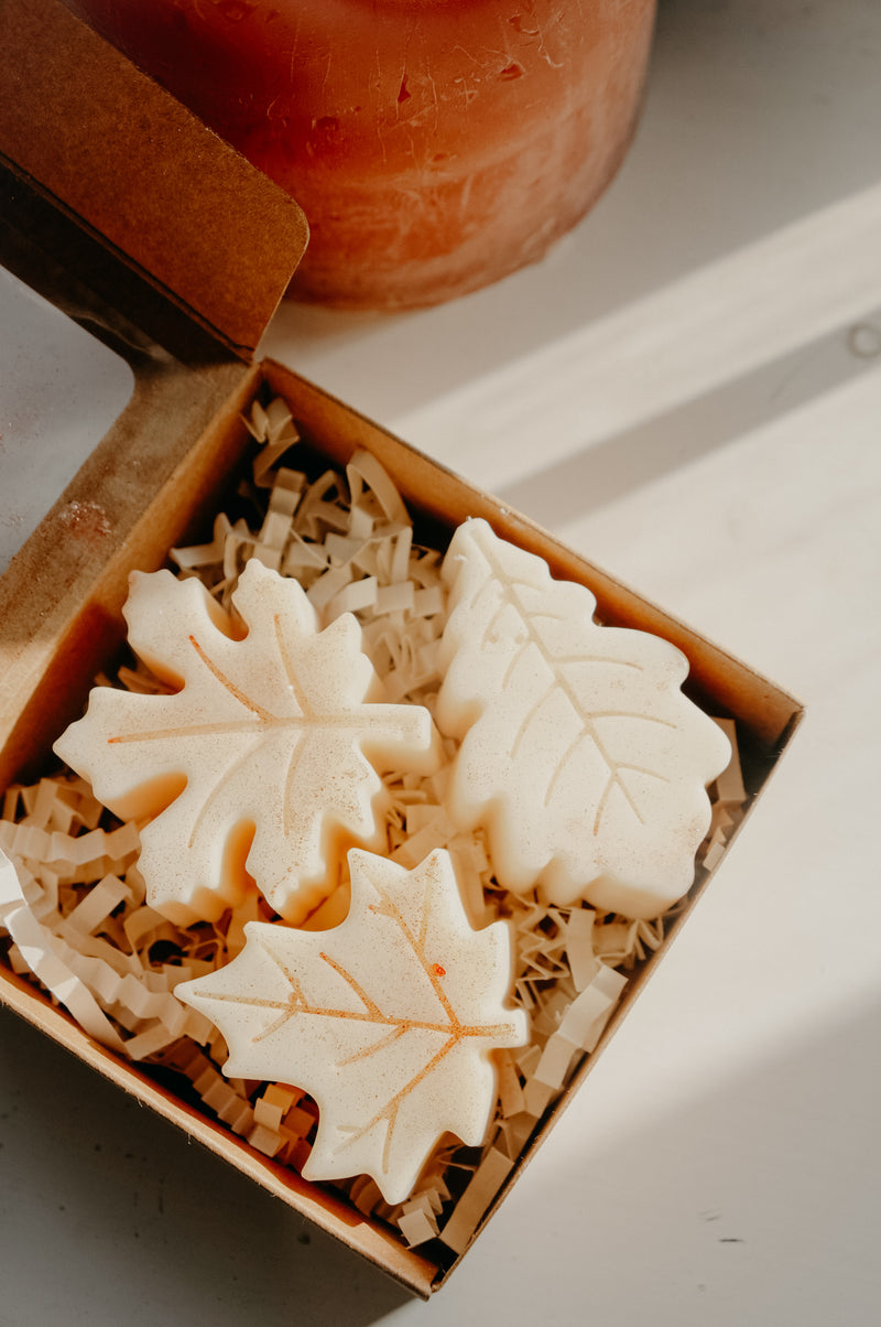 All Too Well Shimmer Taylor Soy Wax Leaves Melts