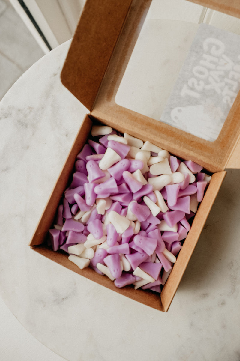 Ghost Halloween Autumn Santal Scented Shimmer Wax Melts