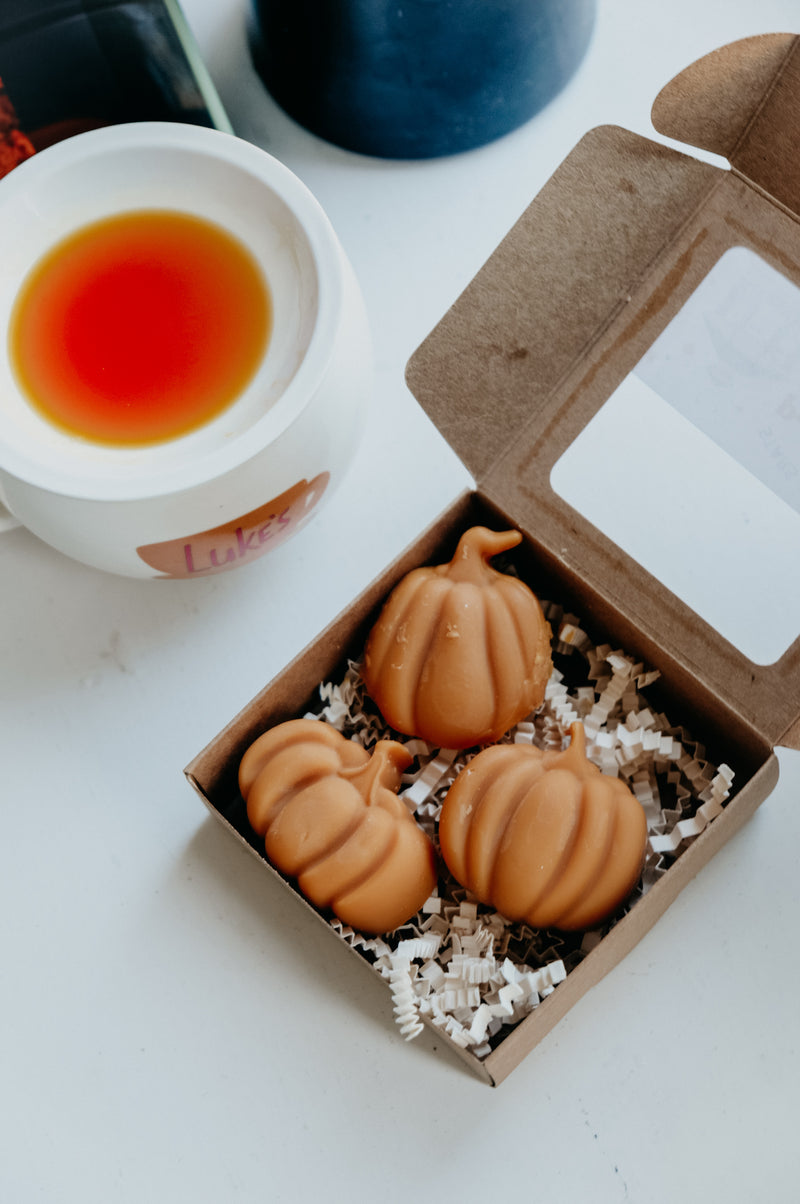 Pumpkin Patch Gilmore Inspired Wax Melts