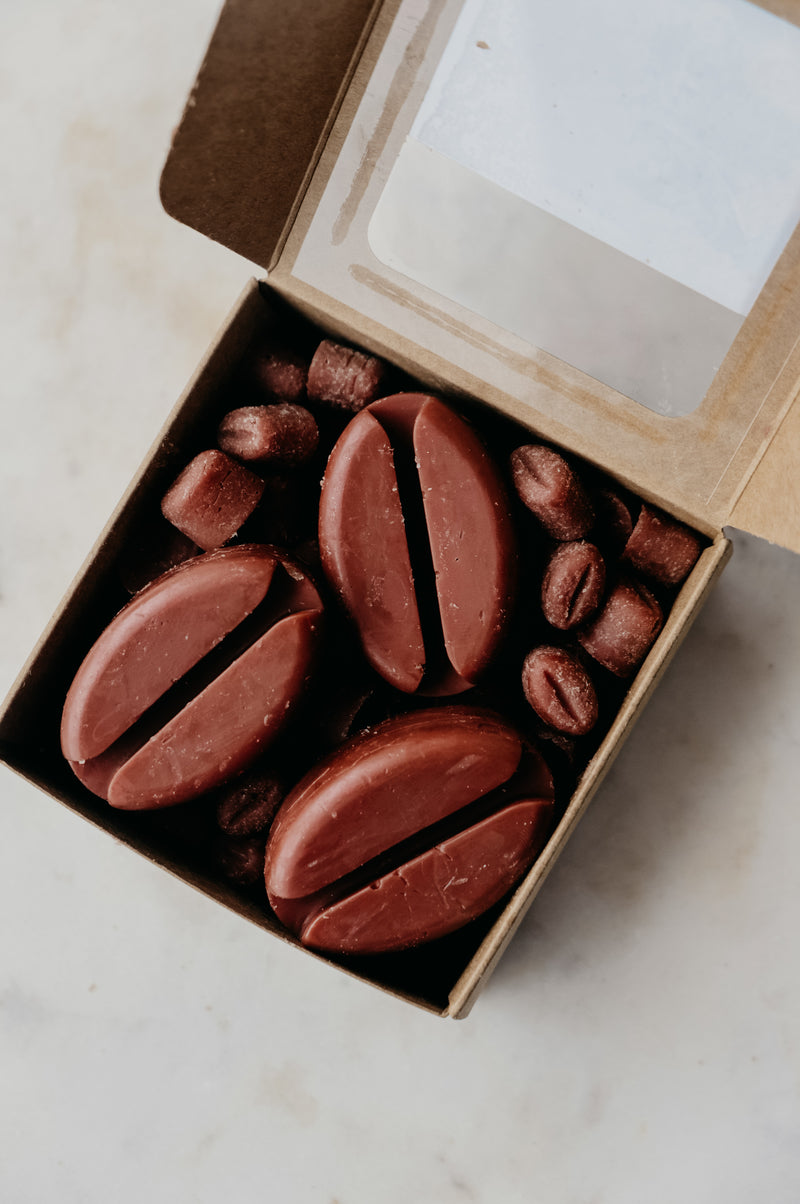 Lorelai Gilmore Salted Butterscotch Jumbo Coffee Bean Shaped Melts